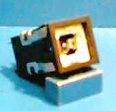 D-B91 DOVER BUTTON