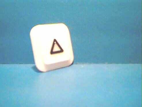O-B131 OTIS BUTTON