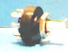 O-B161 OTIS BUTTON