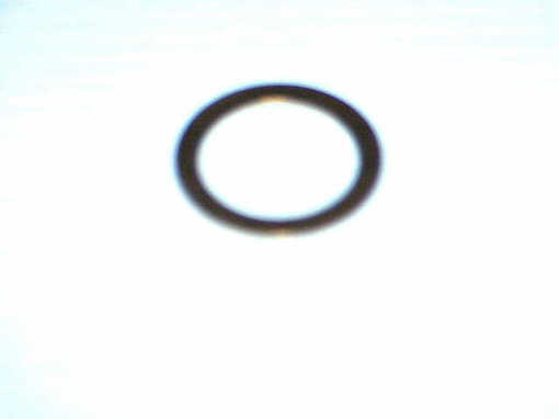 O-S205W-BRASS OTIS