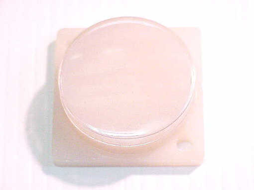 W-B08 WESTINGHOUSE BUTTON