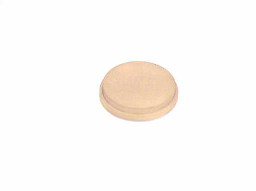 W-B77 WESTINGHOUSE BUTTON